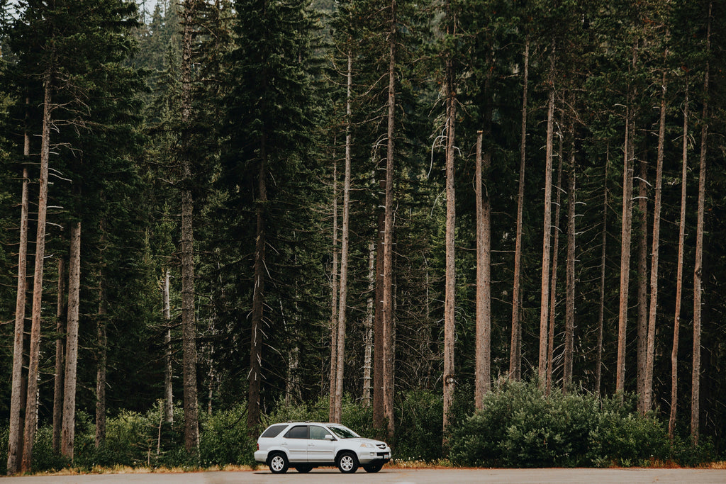 Environmental Contaminants Attacking Your Car Right Now (And How to Stop Them)