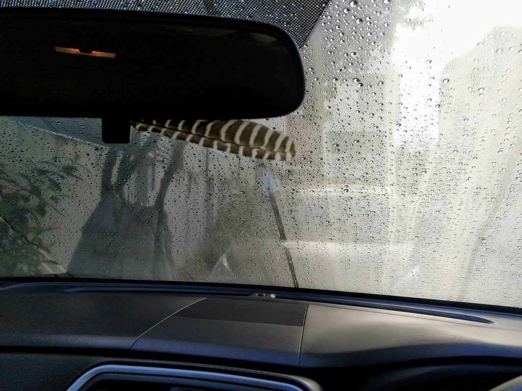 Why Your Car Windows Keep Fogging Up